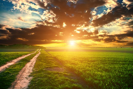 Green Field and Beautiful Sunsetの写真素材