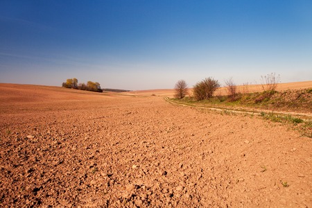 Green Field and Beautiful Sunsetの写真素材