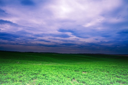 Green Field and Beautiful Sunsetの写真素材