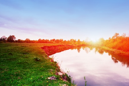 Picturesque forest and the river