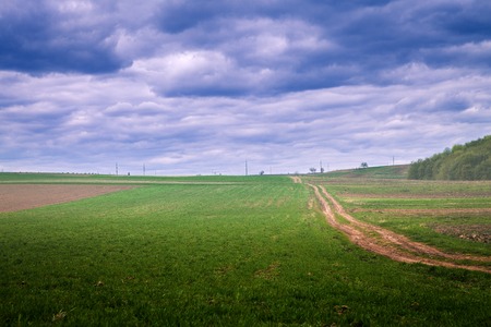 Green Field and Beautiful Sunsetの写真素材