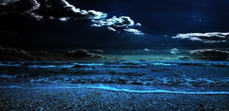 backgrounds night sky with stars and moon and clouds. wood. Elements of this image furnished の写真素材