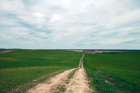 Green Field and Beautiful Sunsetの写真素材