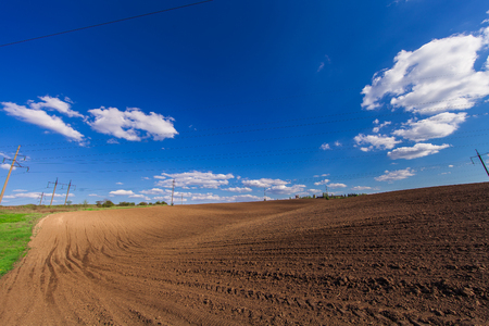 Green Field and Beautiful Sunsetの写真素材