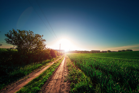 Green Field and Beautiful Sunsetの写真素材