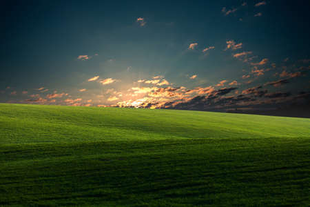 Green field and beautiful sunset
