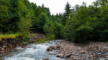 beautiful mountain waterfall with trees in the background.