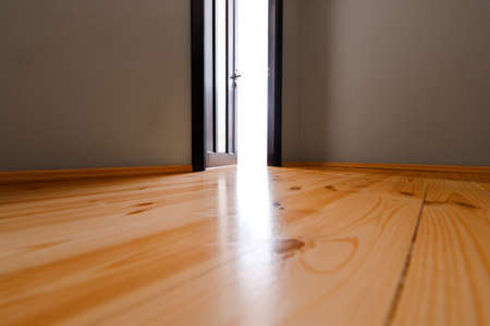 The light revealing through the half open door in the house.の写真素材