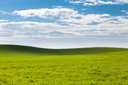 Green field and beautiful sunset.の写真素材