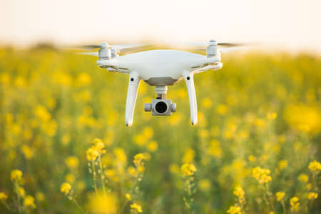 drone quad copter on green corn field.
