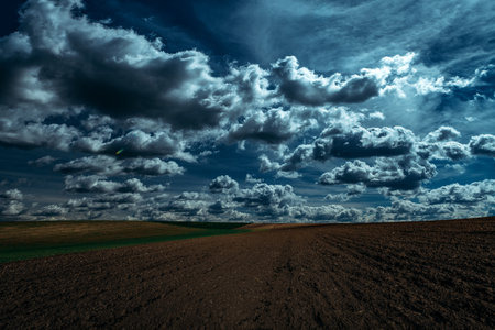 green night field. star sky.の写真素材