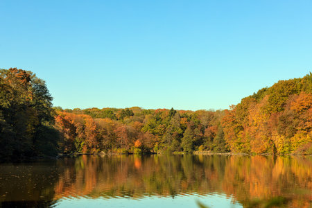 Trees with yellow leaves on a foggy river bank.の写真素材