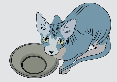 Sphinx Cat With A Bowlのイラスト素材