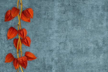 Chinese lantern placed vertically and hanging on a blue wallの写真素材