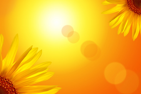 Two sunflowers on the either sides with the sun as a background.の写真素材