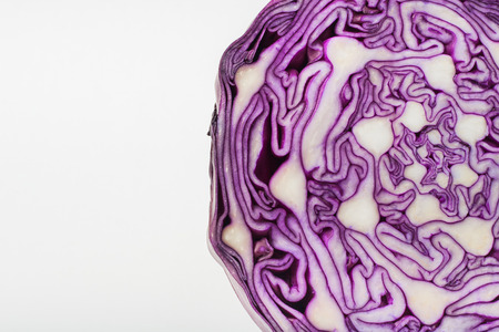 Red cabbage on white backgroundの写真素材