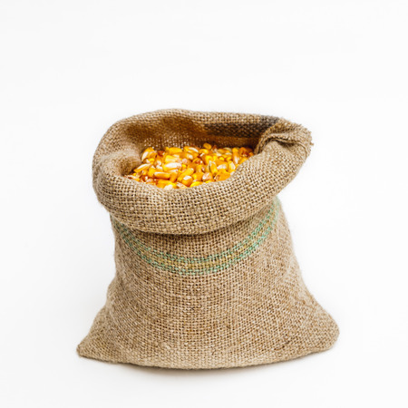 Front view shot of a canvas bag full of corn kernels isolated on white.の写真素材