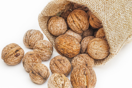 Extreme close-up of wallnuts spilled from a canvas sack behind them. Isolated on whiteの写真素材