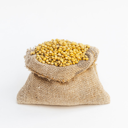 Large group of soybeans in a canvas sack. Isolated on whiteの写真素材
