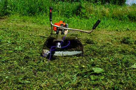 The mowing trimmer lies on the mowed grass. Cutting grass with a trimer