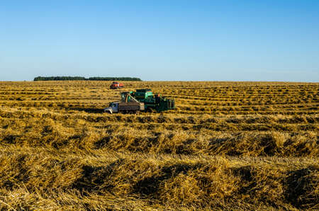 A harvester unload grain into a truck and a red fire truck is parked nearby in case of fire