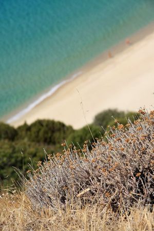 Beach of Solanas - Sardinia - Italyの写真素材