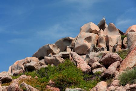 Seagull stay on bizarre pink granite rocksの写真素材