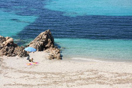 German shepherd dog take sun on a beautiful beachの写真素材