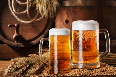 Two glass of beer .With wheat and barley and barrels spikes on bakcground.Still lifeの写真素材