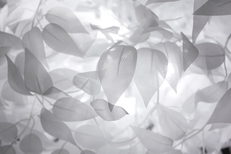 Soft home decor. White leaves.Texture Interiorの写真素材