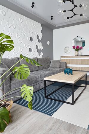 Modern Living Room .Grey sofa and cyan blanket,carpet and .Decorative honeycomb on the wall.Coffe table. Design interior. Grey,white cyan colorsの写真素材