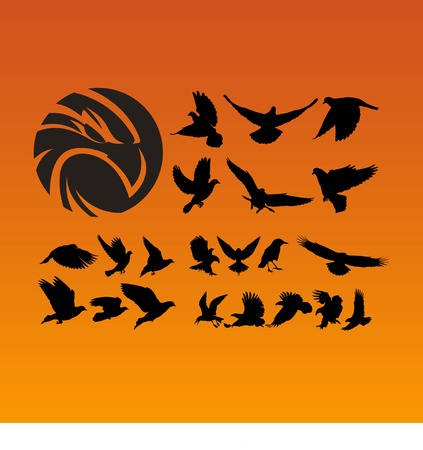 set of eagle logo design vectorのイラスト素材