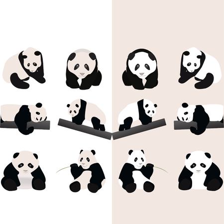 set of panda collectionのイラスト素材