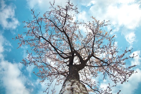 Spring is a great timeの写真素材