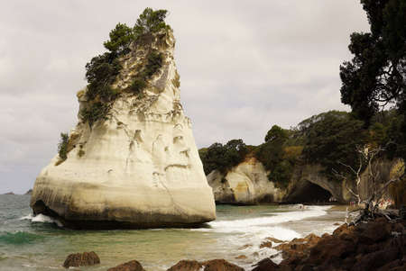 Unique limestones Cathedral cove in New Zealand. Beautiful coast in Coromandel Peninsulaの写真素材