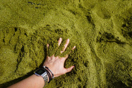 Green sand beach in Hawaii also known as Papakolea beach or Mahana beach is lokated in the south piont in Big Island. One of only four green sand beaches in the world.の写真素材