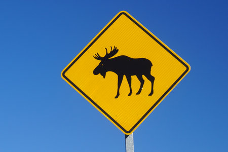 Moose crossing yellow diamond warning road signの写真素材