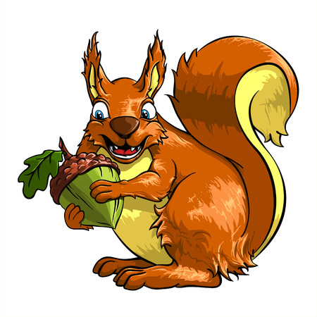 Squirrel with acorn. Isolated on white background. Vector illustration.のイラスト素材