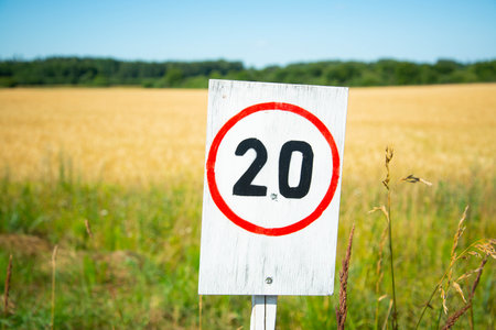 Hand made max allowed speed traffic sign painted on a wooden board with rye field in the background.