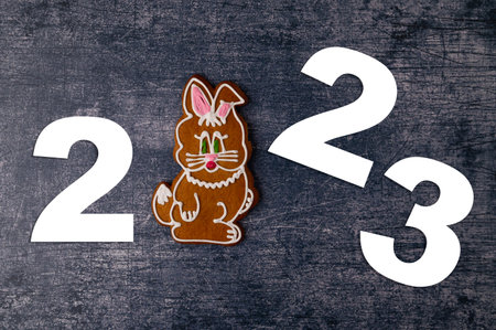 Year 2023 inscription with gingerbread in the shape of a rabbit with icing on the background of a...