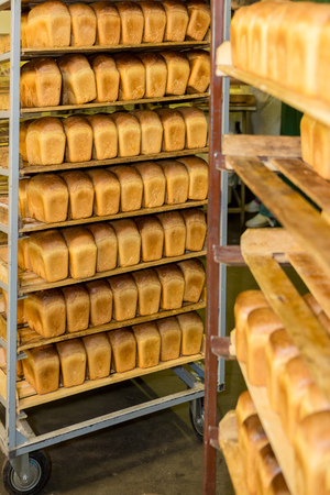 Bread on the shelves in the bakery