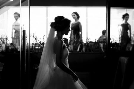 Bride walks thru the restaurant hall while bridesmaids standing on the backgroundの写真素材