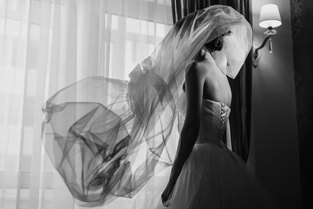 Veil flies over a brideの写真素材