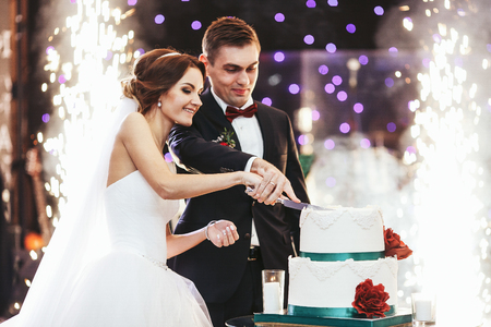 Happy bride and groom cut the wedding cake in the front of fireworksの写真素材