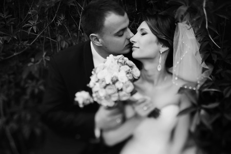 Fiance kisses a bride among the leafsの写真素材