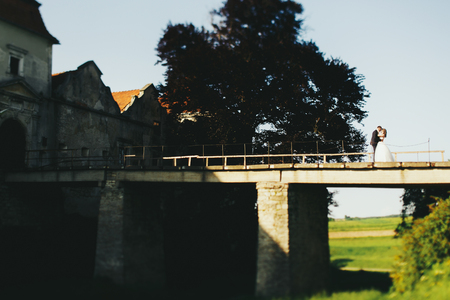 Newlyweds stand on the bridge leading to the old castleの写真素材