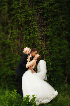 A passion kiss of just married standing behind the green hedgeの写真素材