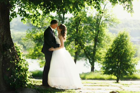 Romantic couple stands under the green tree leafsの写真素材