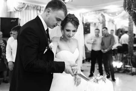Newlyweds cut their wedding cake at the first timeの写真素材