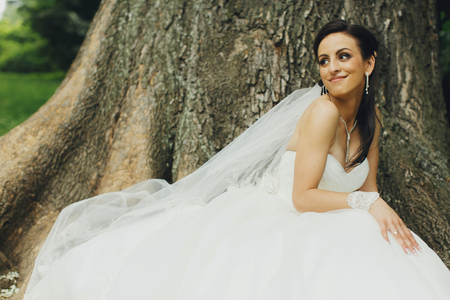 Bride sits behind an old huge treeの写真素材